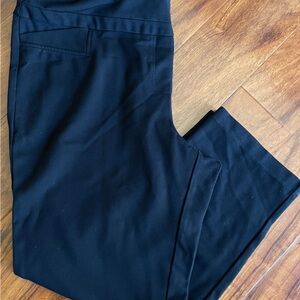 Zac & Rachel woman pants 2X